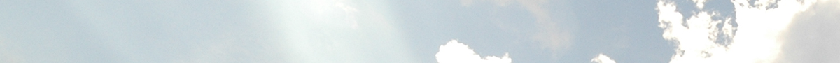 header-theme-02.png